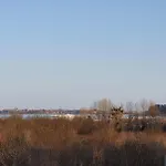 Cacao شقة *