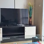 Cacao *