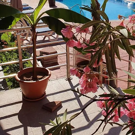 Apartmán Cacao Sluneční pobřeží