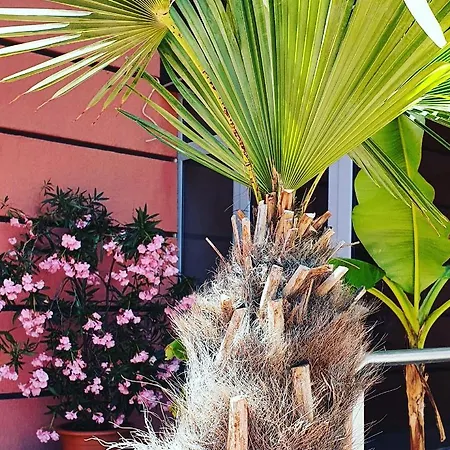 Apartmán Cacao